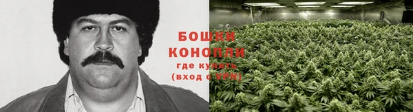 стаф Беломорск