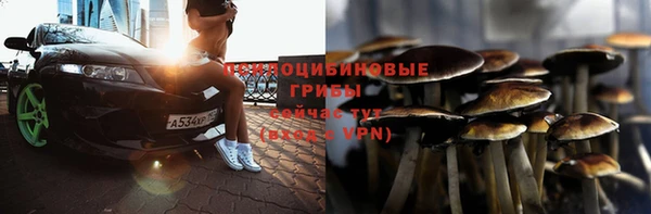 стаф Беломорск