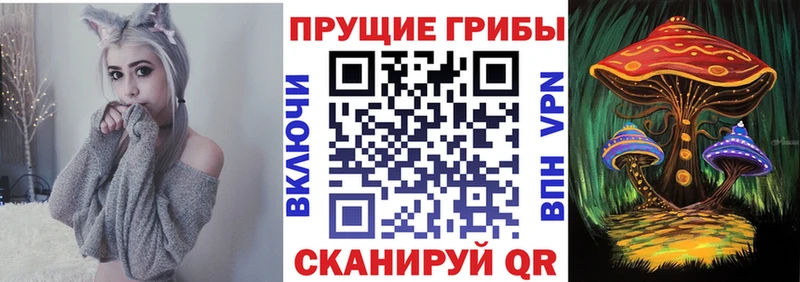 Псилоцибиновые грибы мицелий  наркота  Омск 