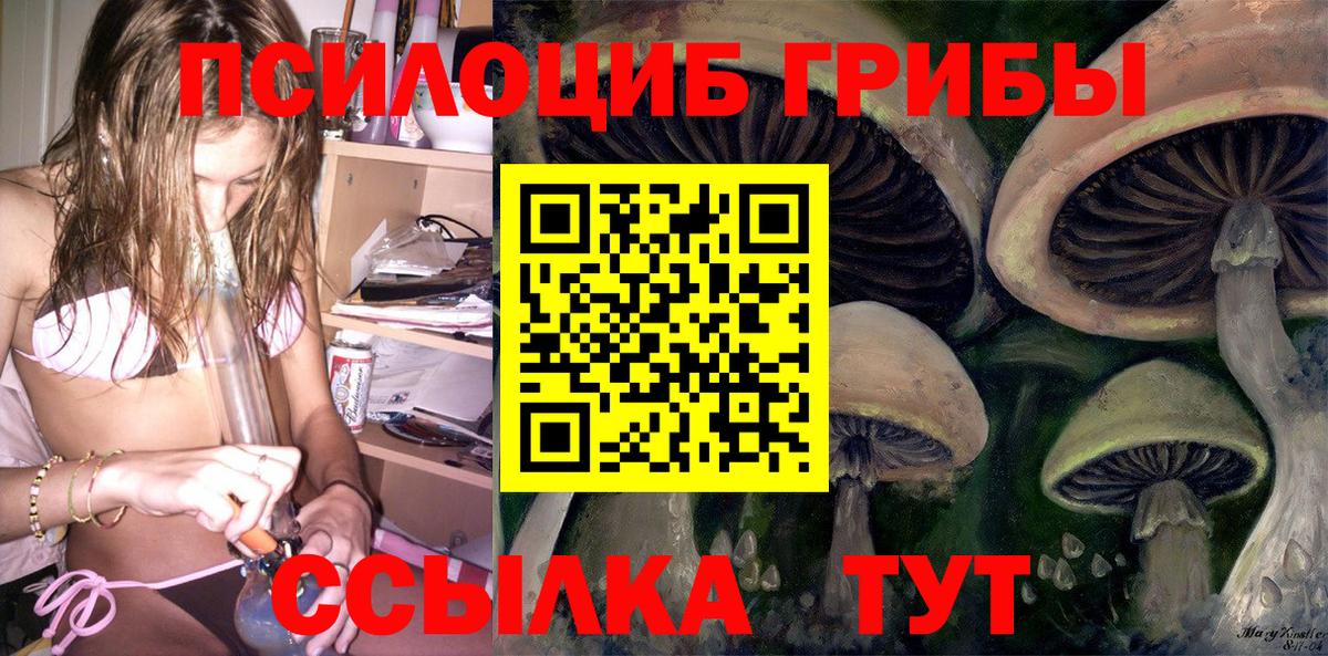 Псилоцибиновые грибы ЛСД Россия
