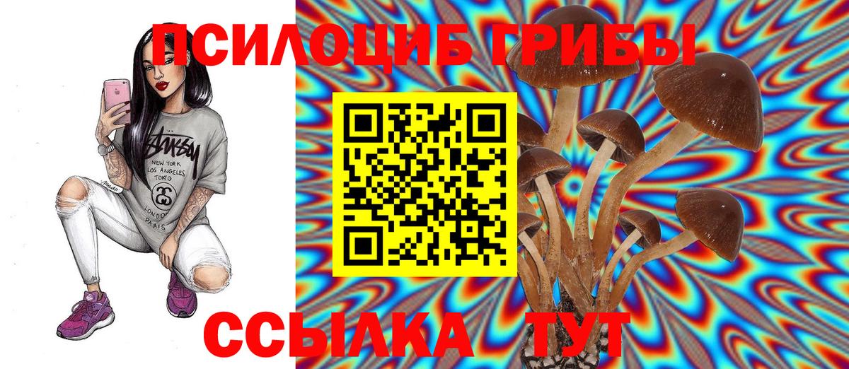 где купить наркоту  Россия  Галлюциногенные грибы MAGIC MUSHROOMS 