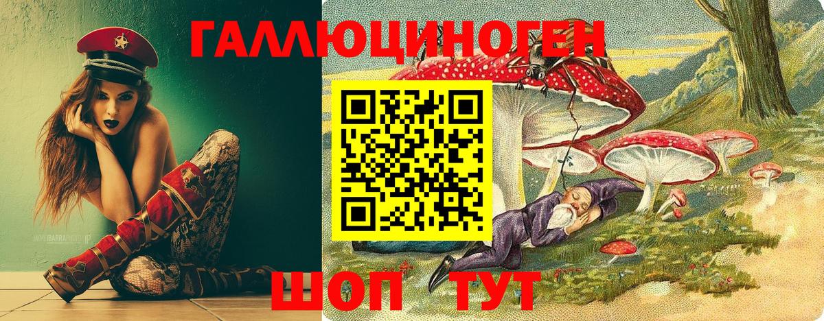 Псилоцибиновые грибы MAGIC MUSHROOMS  Вход с VPN  Россия 