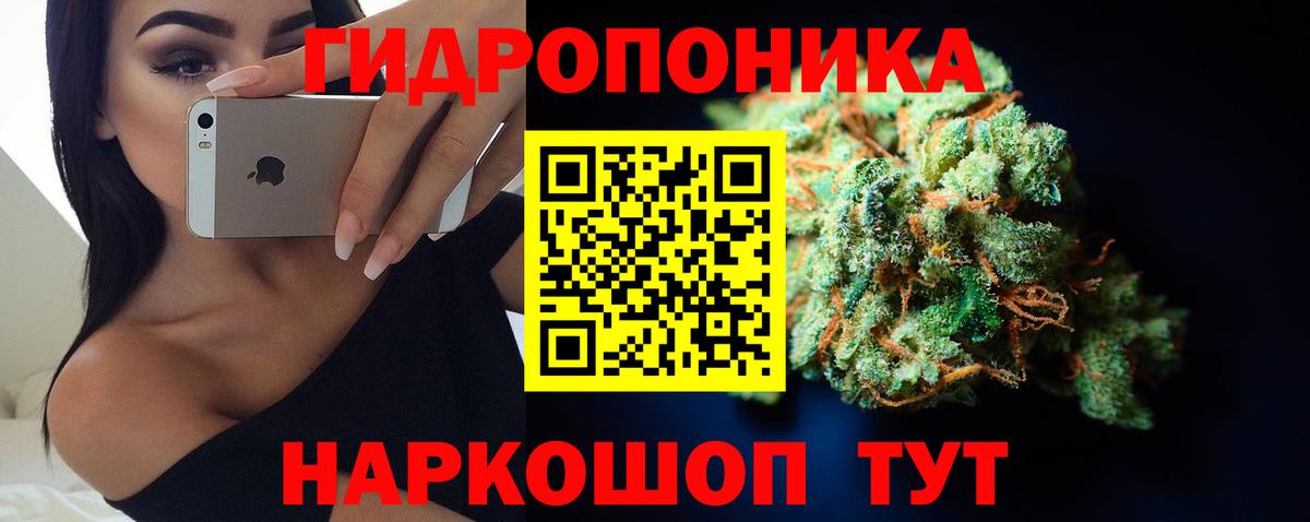 Конопля марихуана Россия
